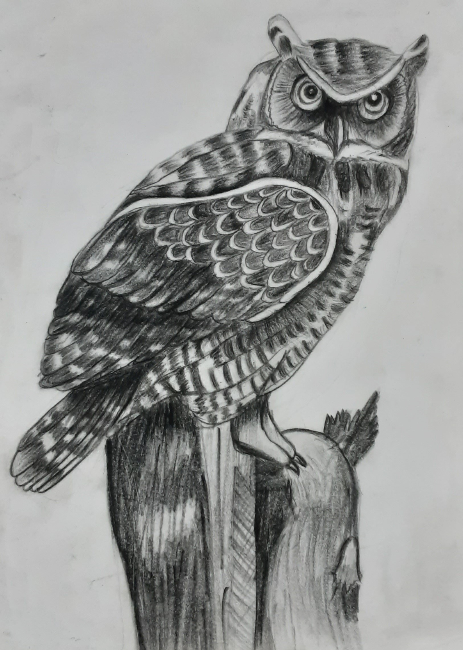 drawing 3